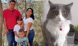 Nazilli'de facianın ilkinde aileyi kedi kurtarmış