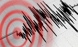Muğla'da korkutan deprem!