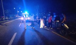 Aydın’da yola çıkan domuz sürüsü faciaya yol açtı