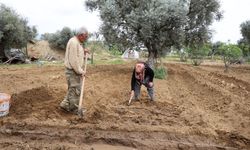 50 yıllık evlilik bahçede yeşeriyor