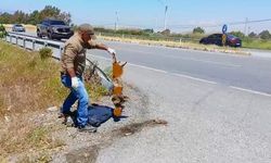 Popülasyonu azalan türler arasındaydı: Aydın'da ölü bulundu