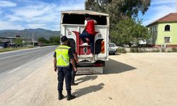 Aydın’da hayvan taşıyan araçlara sıkı takip