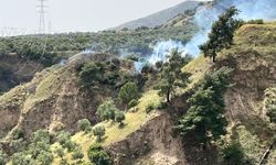 Aydın’da yangın paniği! Otluk alan alev aldı