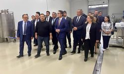 Bakan Yardımcısı Gönüllü’den Germencik’e ziyaret! Zeytinyağı üretim süreçlerini inceledi