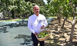 Başkan Kaya’dan Çiftçiler Günü kutlaması