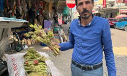 Doğal şifa kaynağı Işkın Otu Nazilli’de tezgâhlarda