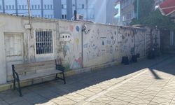 Söke'deki Sanat Sokağı görenleri büyülüyor