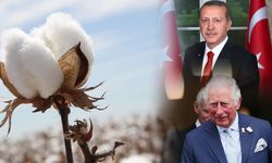 Liderlerin tercihi "Söke Pamuğu"
