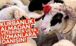 Kurbanlık almadan veteriner veya uzmanlara danışın!