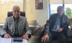 Aydın’daki yağışlar umutları yeşertti