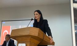 AK Partili Sarıbaş’tan imza kampanyasına eleştiri