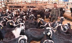 Aydın’da kurban kesim yerleri belli oldu