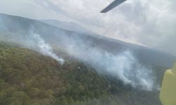 Nazilli'de orman yangını ile mücadele 2 saat sürdü