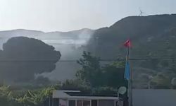 Söke’de zeytinlik alanda yangın