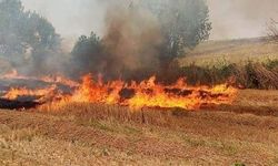 Aydınlılara uyarı: “Cezası ağır, riski büyük!”