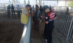 Çine Kurban Bayramı’na hazır