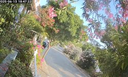 Aydın’da motosikletin park halindeki araçlara çarptığı kaza kameralara yansıdı