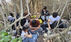Aydın’da makilik alana saklanan 17 göçmen yakalandı