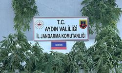 Aydın’da uyuşturucu operasyonu: 16 şüpheli yakalandı