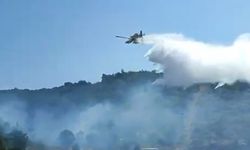 Kuşadası’nda orman yangını korkuttu