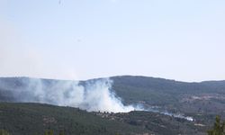 Bir orman yangını daha! Menteşe’de zor anlar
