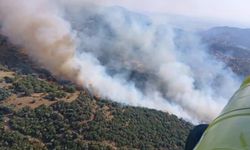 Söke’deki yangın kontrol altına alındı: 20 hektar alan zarar gördü