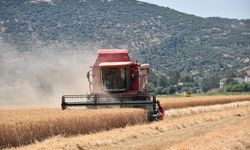 Hayvan üreticisine kritik uyarı: Geç kalmayın!
