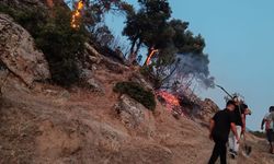 Bozdoğan’daki yangında son durum! Söndürme çalışmaları sürüyor