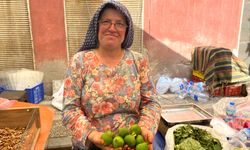 Aydın pazarında reçellik ilek satışları başladı