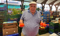 Aydın’da domatesin durumu vahim! Sıcaklar domatesi vurdu üretim azaldı