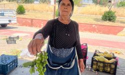 Aydın’da limonun yerini koruk aldı