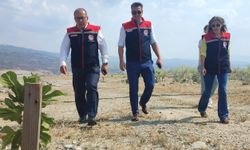 Aydın’ın ilk ilek bahçesi büyüyor! Müdür Altıntaş yerinde inceledi