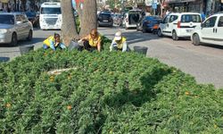 Başkan Çerçioğlu’ndan Aydın’a ‘Yeşil’ dokunuş