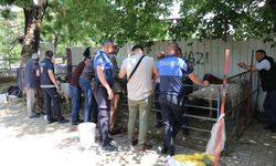 Bozdoğan'da kurban satış yerleri hazır! Belediye denetimde