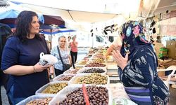 Çerçioğlu’ndan zeytinlik yasasına tepki: “Zeytin hayattır”