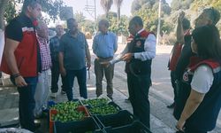 Germencik’te ilek denetimi! Altıntaş ürünleri tek tek denetledi