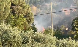 Aydın'da ağaçlık alanda yangın çıktı: Vatandaşlardan ekiplere destek
