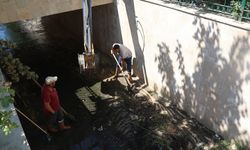 Koçarlı’da polemik haline gelen o dere temizleniyor