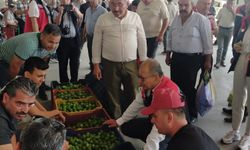 Nazilli’de ilek pazarına yakın takip