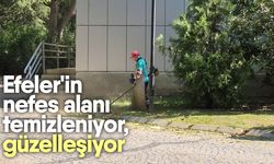Efeler'in nefes alanı temizleniyor, güzelleşiyor