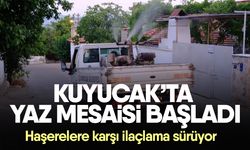 Kuyucak’ta yaz mesaisi başladı: Haşerelere karşı ilaçlama sürüyor