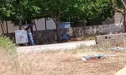 Mahallede zombi paniği! Dehşete düşen vatandaşlar telefona sarıldı