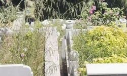 Mezarlıkta korkunç olay! Kabirlerin arasında görülen dehşete düşürdü