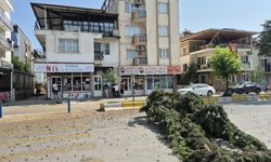Aydın’da bir otomobil ağaca çarptı! 3 yaralı