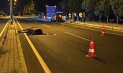 Nazilli’de aniden yola fırlayan at trafiği birbirine kattı