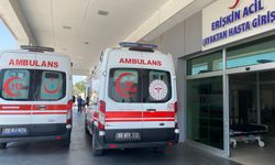 Aydın’da Kurbanlık keserken yaralanan 48 kişi hastaneye kaldırıldı