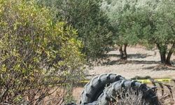 Zeytin bahçesinde büyük dehşet! Oğlunun ölüsüyle karşılaşan anne şok geçirdi
