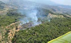 Aydın'da orman yangını: Alevlere müdahale ediliyor