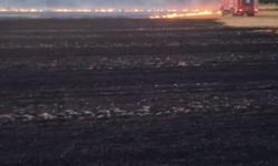 Aydın’da korkutan anız yangını! Çevredeki tarım alanları tehlikede