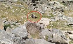 Batman’daki feci kazanın ateşi Aydın’a da düştü! Aydınlı öğretim üyesi hayatını kaybetti
